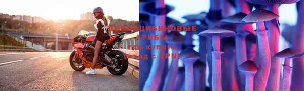 герыч Ладушкин