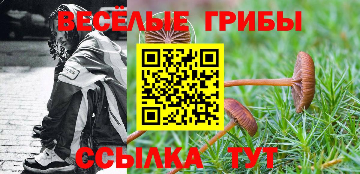 Галлюциногенные грибы прущие грибы  Псилоцибиновые грибы Magic Shrooms  Вход с VPN  Каменск-Уральский 