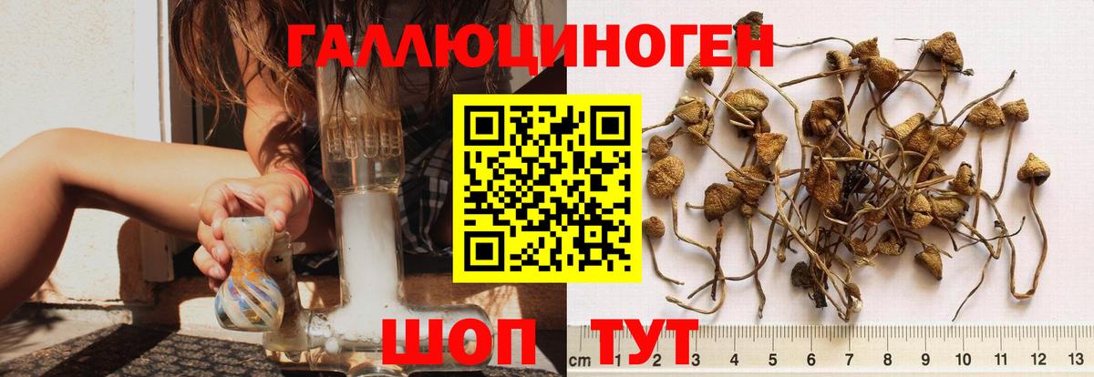 Галлюциногенные грибы ЛСД Каменск-Уральский